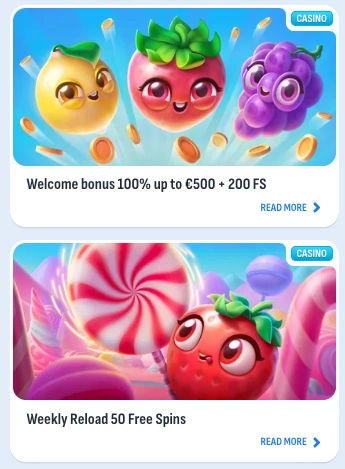 Podgląd strony partnerskiej Nomini